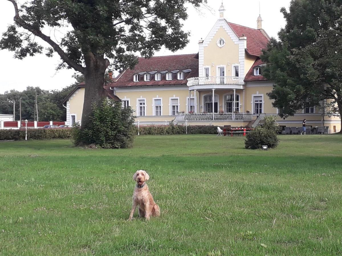 Bed and Breakfast Rosenberg Kuria Taplanszentkereszt Екстер'єр фото